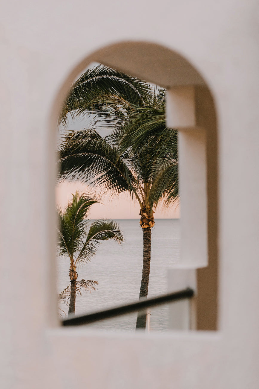 Picture of aesthetically pleasing image of palm trees and architecture